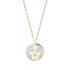 Lantisor argint placat cu aur galben cu stea de mare si Mother of pearl DiAmanti Z1965NG-DIA (Argint 925‰ 2,2 g.)